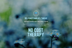 no-cost therapy