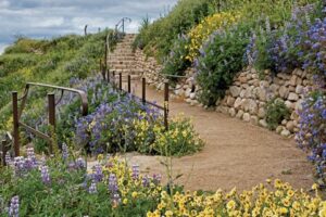 ventura botanical gardens