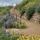 The Ventura Botanical Gardens are Blooming