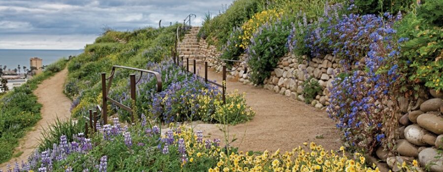 ventura botanical gardens